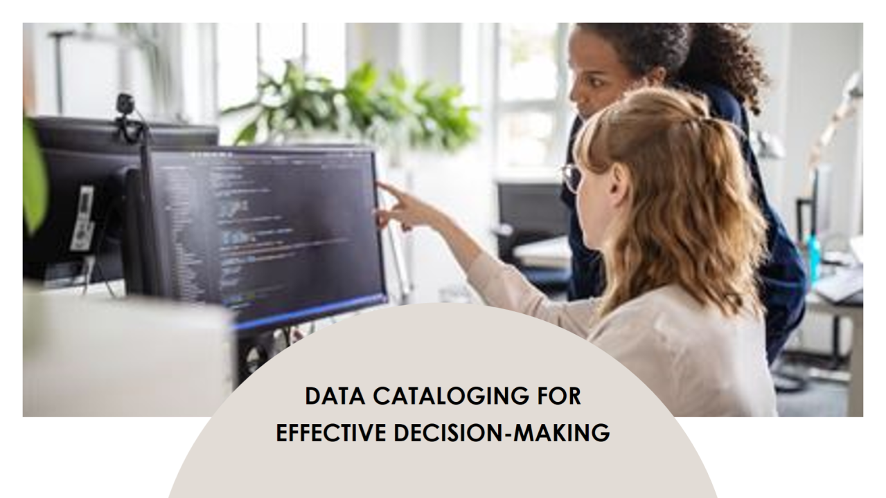 Data Cataloging: Illuminating the Data Elephant for Effective Decision-Making